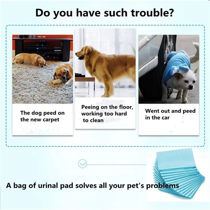 Pet Urine Pad